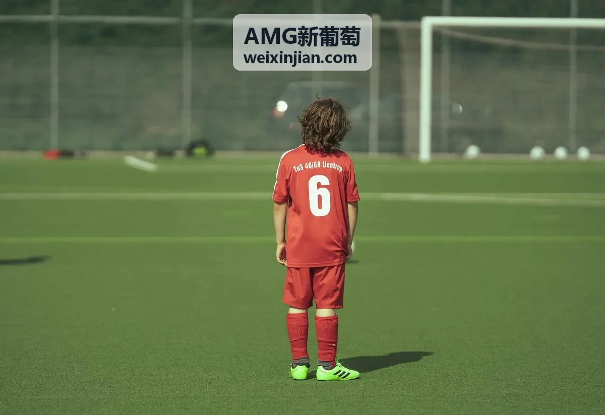 AMG新葡萄庄园直供